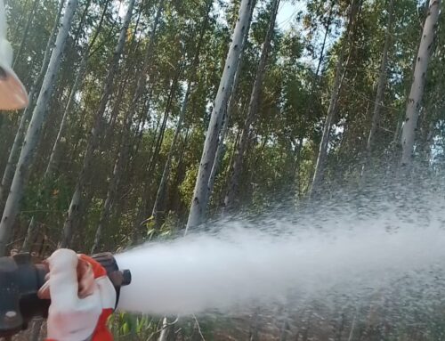 Treinamento de Brigada de Incêndio Florestal – Anexo G da IT 17/2025