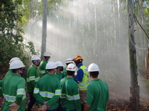 Combate Incêndio Florestal